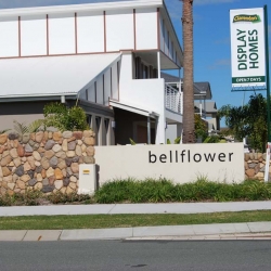 stones-wall-bellflower