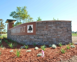 ledgestone-feature-csi-063-ashburn-6