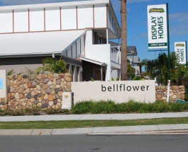 stones-wall-bellflower