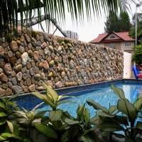 stone-veneer-csi-081-jpg