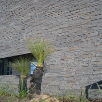 house-cladding-csi-025