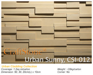 Modern Urban Cladding